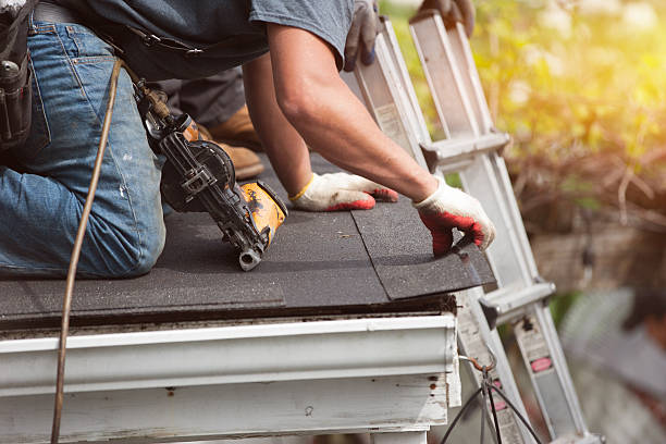 Best Metal Roofing Contractor  in Maumee, OH